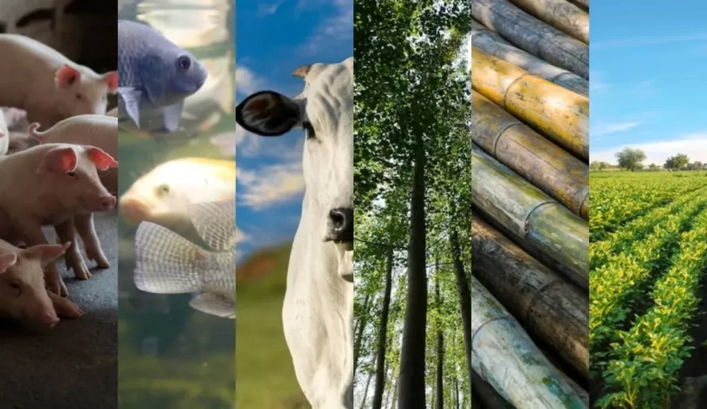 Com diversificação de atividades, tecnologias no agro se consolidam e alavancam desenvolvimento