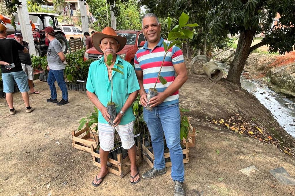 Produtores de Vila Pavão recebem mais 1.500 mudas de cacau Produtores de Vila Pavão recebem mais 1.500 mudas de cacau